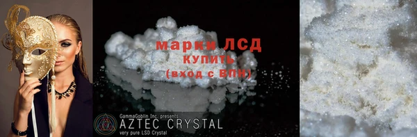 крисы Алзамай