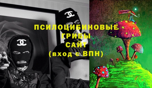крисы Алзамай