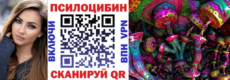 Псилоцибиновые грибы GOLDEN TEACHER  Пошехонье 